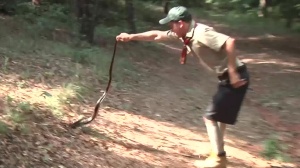 Big Dicks at School: Camping Trip Turns Dirty with Twinky American Man