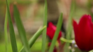 DrillMyHole: Diego’s Prowess, Leaving Zak Breathless