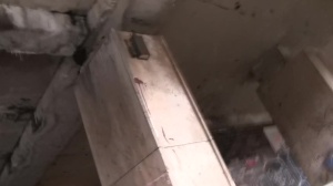 CzechHunter: Finding Pleasure in Pain