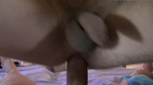 CzechHunter: Bargains that Lead to Ecstasy