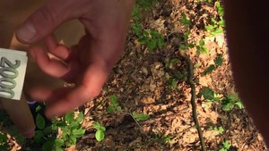 CzechHunter: A Slavic Beauty In Town