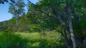 DrillMyHole - Kurtis Wolfe in passionate threesome outdoors