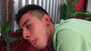 RealityDudes: Rough Rides in the Sunshine