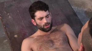 HotHouse: Beefy Top's Dominant Woodworking Session