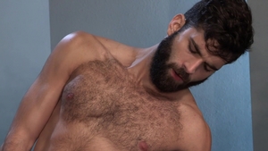 RagingStallion: Hairy Otters Service Beckham's Cock