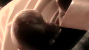 JoeSchmoeVideos.com: From Cut to Uncut: Blaze's Journey