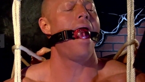 BoundMuscleJocks.com: Muscle Worship in Full Throttle