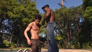 GoGayGuy: White Bottom Takes Black Top