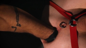 Rawhole: Kinky Secrets Unleashed: Axel's Twisted Paradise