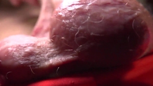 PitsAndPubes: Kode's Au Naturel Armpits