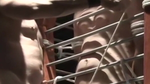 BoundMuscleJocks.com: Master Dax's Gay Ball Struggles