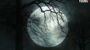 Toys and Twists in Halloween Horror