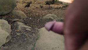 Oopsie!: Sunny Days Bring Dirty Anal Play
