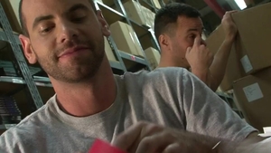 Falcon Studios: Screwy Colleagues