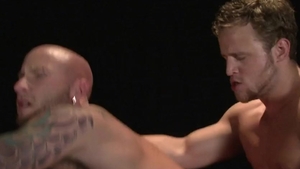 Falcon Studios: Invigorated and Feeling Bold