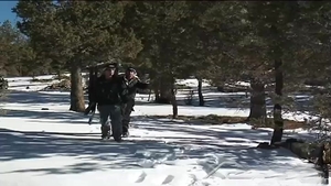 Falcon Studios: Polar Opposites Attract with Fiery Intensity