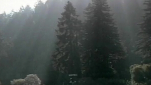 Falcon Studios: Josh Squeals from BBC Invasion