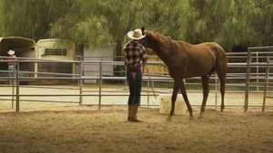 Icon Male: Jizz all over our Muscular Bodies