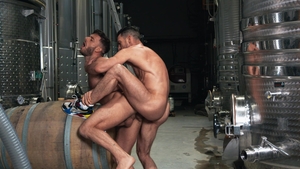 Men: Sucking Paddy for His Cum