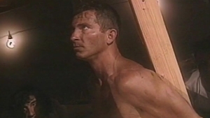 Falcon Studios: Incarcerated Euphoria