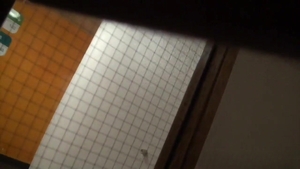 jalifstudio: Jesse's Big Toulouz Adventure