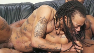 edwardjames: Quake & Bobby: Black Bred Beauties