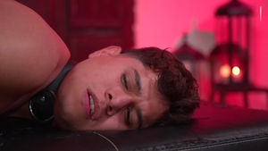 Taking A Walk On The Wild Side