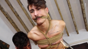 A Gaggle of Gags from Leo Marco