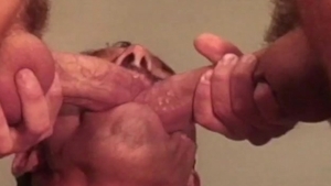 Falcon Studios: Swapping Sorrow with Seed