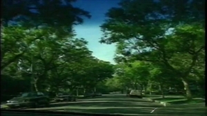 Falcon Studios: Charged Up on the Open Road