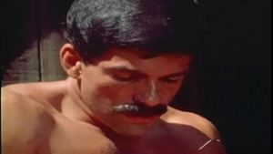 Falcon Studios: Swimming with Spunk: Matt Hollis' Story