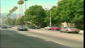 Falcon Studios: A Mile High Club In The Limo