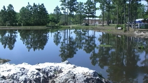 Bear Films: Throaty Joy in Twink Wonderland