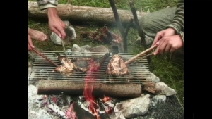 Bel Ami: Wild Forest Frenzy