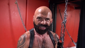 Bear Films: Slinging with the Silver Foxes