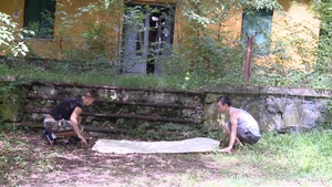 Fleeting Moments of Forbidden Bliss