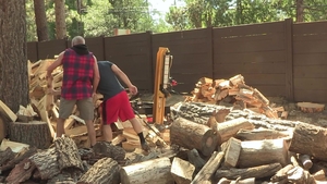 Family Dick: Wet and Wild in the Family Forest