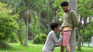 Latin Leche: Sunset Serenade: A Symphony of Sin