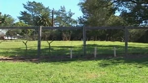 Next Door Male: Big-Cocked Brett in Shower Spree