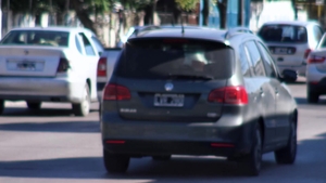 Latin Leche: The Fuzzy Face Frenzy of Buenos Aires