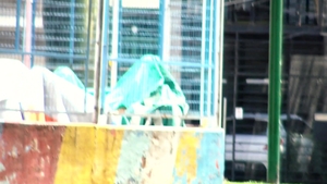 Latin Leche: Eager to Eat Up the Leche