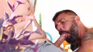 Bear Films: Cub Fucks Daddy with Wild abandon