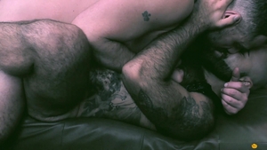 Bear Films: Unleashing the Wild Side Behind the Bar