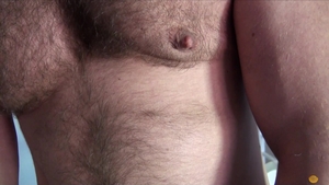 Bear Films: Satisfy Your Hunger for Stud Meat