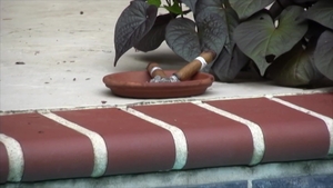 Bear Films: Beefy Boys Boning