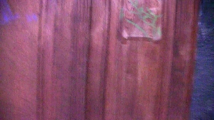 Debt Dandy: Innocent Youth Tangled in Financial Mess