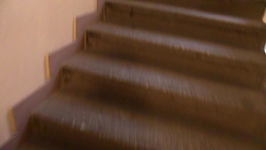 Debt Dandy: 3 Boys, One Me: A Risky Decision