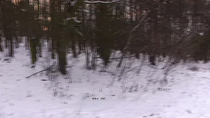 Czech Hunter: Winter's chill fuels passionate flames