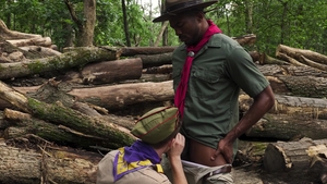 scoutboys: A Woodland Symphony of Love