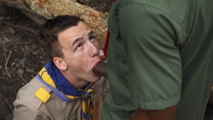 scoutboys: A Woodland Symphony of Love